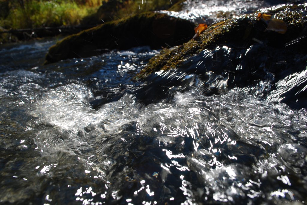 Холодная и вкусная вода в реке Олха