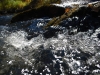 Холодная и вкусная вода в реке Олха